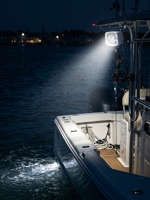 Marine Spotlight